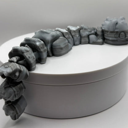 Flexi Ferret — Long, Wiggly, and Full of Personality