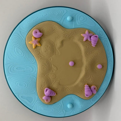 ✨Undersea Pearl Discovery Diorama✨