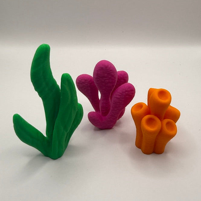 ✨Undersea Pearl Discovery Diorama✨