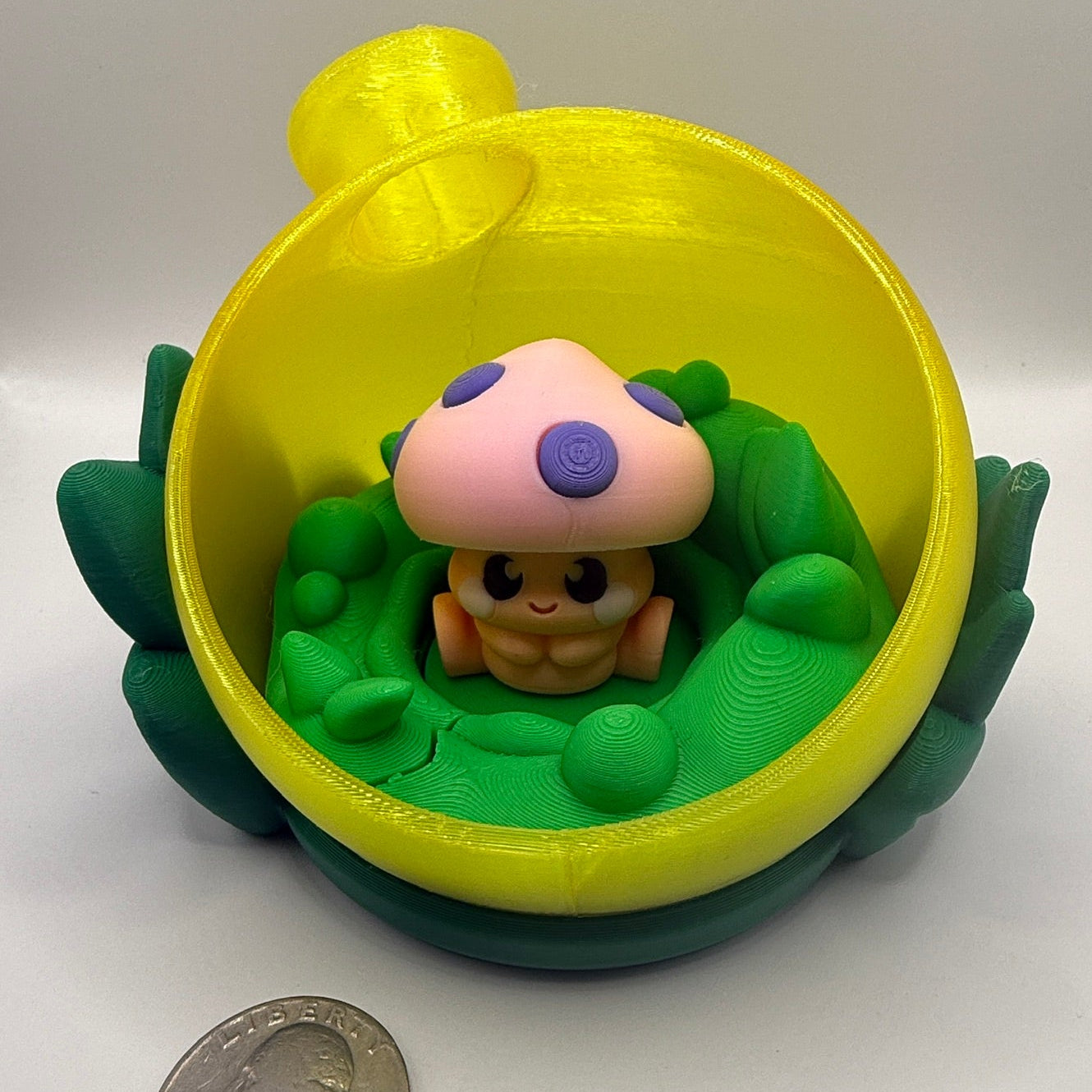 🍄🌿 Mushroom Buddy Terrarium Playset